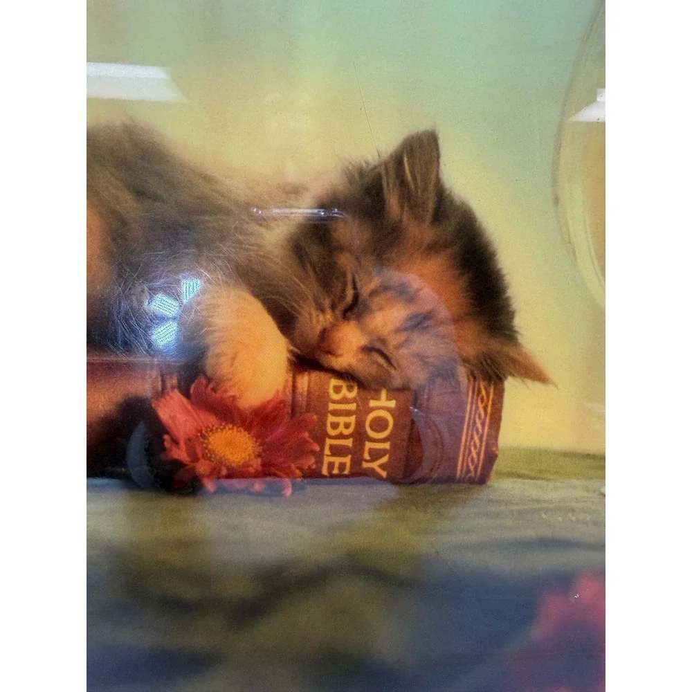 VTG Andy Anderson Handcrafted‎ Wood Resin Plaque Kitten Bible Religious Art